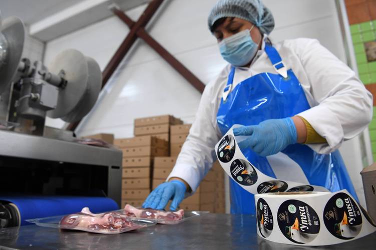 工作人员在俄罗斯鞑靼斯坦共和国的考萨尔肉类加工厂包装肉类产品