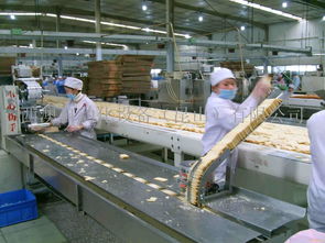 饼干曲奇包装线批发价格江苏苏州其他休闲食品设备